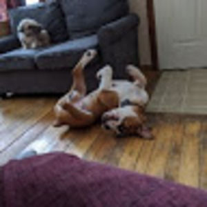 Meet your Posher, Jen